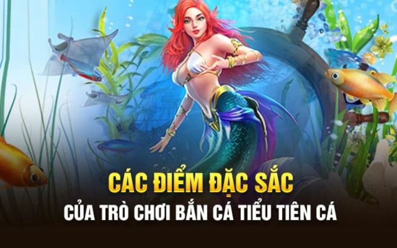 Bắn cá tiểu tiên trực tiếp